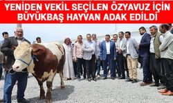 Muhtar Akıl'dan Özyavuz'a jest...