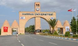Harran Üniversitesi'nde hangi bölümler var?
