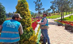Eyyübiye'deki Botanik Park bitti! Açılışa hazırlanıyor