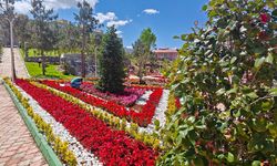 Eyyübiye'deki Botanik Park bitti! Açılışa hazırlanıyor