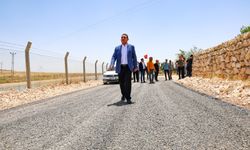 Harran'da asfalt çalışmaları sürüyor