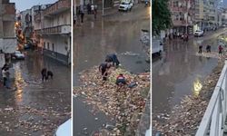 Urfa'da sağanak yağış taşmalara neden oldu