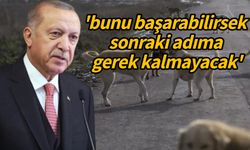 Erdoğan'dan sokak köpekleri ile ilgili flaş açıklama