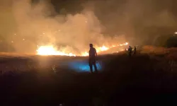Eyyübiye'de orman yangını neden çıktı?