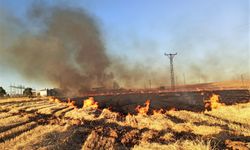 Anız yangınlarından dolayı Urfa'da birçok mahalle elektriksiz kaldı