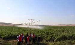 Şanlıurfa'da Üreticilere Ücretsiz Ziraatçı Desteği