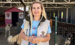 Urfa'dan köpekleri kaçırmıştı! Bakın paraları nereye aktarmış...