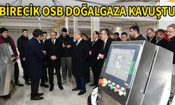 Vali Şıldak Birecik'te üretime geçen fabrikaları gezdi