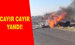 Mobilya yüklü araç cayır cayır yandı