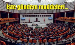 TBMM'de yoğun mesai başlıyor