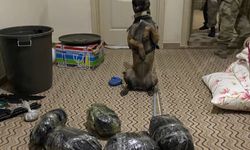 Viranşehir’de ‘torbacı’ operasyonu!