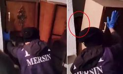 Urfa ile 42 ilde düğmeye basıldı! Çok sayıda gözaltı