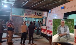 Urfa’da korkunç olay!