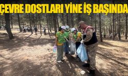 Şanlıurfa İl Jandarma Komutanlığı’dan Çevreye Tam Destek