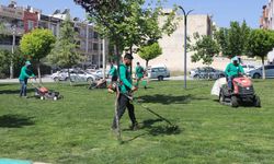 Haliliye'de parklar yaza hazırlanıyor