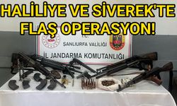 Şanlıurfa İl Jandarmadan başarılı bir operasyon daha...