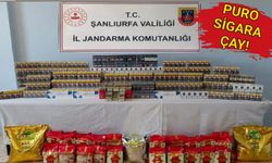 Hassas burunlu köpekler sayesinde ele geçirildi