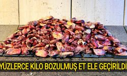 Şanlıurfa’da 1,7 Ton Kaçak Et Ele Geçirildi