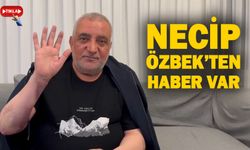 Necip Özbek'ten haber var