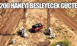 Tarım arazilerini kaçak sulamaya devam ediyorlar
