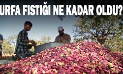 Urfa fıstığında son durum ne?
