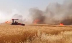 Harran 170 dönümlük buğday tarlası kül oldu