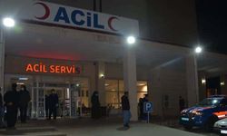 Melek Nine feci kazada hayatını kaybetti
