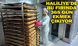 Haliliye'de bu fırında 365 gün ekmek çıkıyor