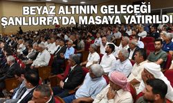 BEYAZ ALTININ GELECEĞİ ŞANLIURFA’DA MASAYA YATIRILDI