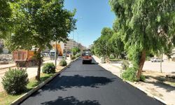 Urfa Büyükşehirden Viranşehir'e asfalt atağı