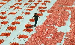 Türkiye'nin Oscar adayı belli oldu