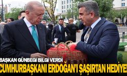 Cumhurbaşkanı Erdoğan'ı şaşırtan hediye!