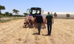 Urfa'da yeni tarım modeli uygulandı