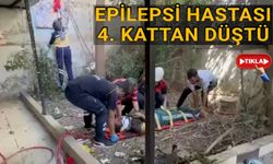 İtfaiye ekiplerinin yardımıyla düştüğü yerden çıkarıldı