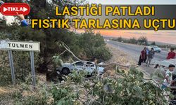 Tülmen kavşağında feci kaza: Fıstık tarlasına uçtular