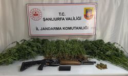 Urfa'da 3 ilçede uyuşturucu operasyonu