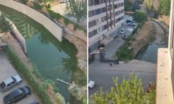Karaköprü'deki dere yatağının hali tepki topluyor