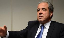 Tayyar'dan çarpıcı açıklama: Urfa İsrail'e komşu olur...