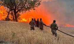 Orman yangınlarıyla ilgili İçişleri Bakanlığı'ndan flaş açıklama