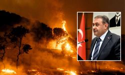 Urfa’da Orman Yangınlarına Karşı Harekete Geçildi!