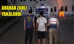 187 yıl hapis cezası bulunuyordu! Yakayı ele verdi
