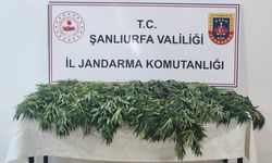Urfa’da uyuşturucuya geçit yok