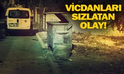 Doğar doğmaz çöp konteynerine attılar