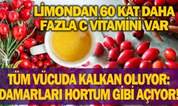 Vücudun her her yerine etki eden besin...