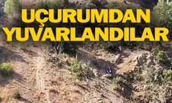 Urfalı tarım işçilerini taşıyan minibüs kaza yaptı: 3 kişi öldü..