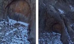 Yecüc ve Mecüc burada olabilir mi?