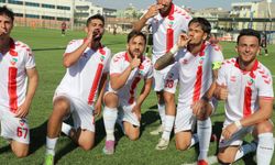 Viranşehir evinde kazandı