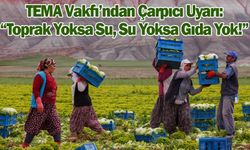 “Toprağı Kaybediyoruz, Geleceğimizi Kaybediyoruz”