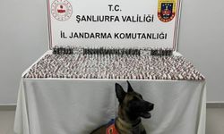 Urfa'da binlerce uyuşturucu hap ele geçirildi