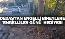 Yeni dikilmiş gibi, zemin ıslaklığını koruyor!